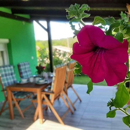 Villa Ruralna Kuca Za Odmor Viktorija Caglin Esterno foto