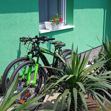 Villa Ruralna Kuca Za Odmor Viktorija Caglin Esterno foto