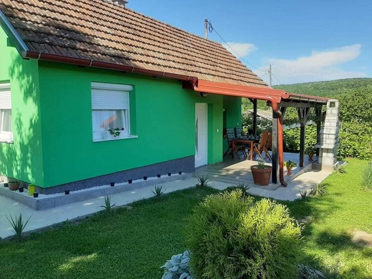 Villa Ruralna Kuca Za Odmor Viktorija Caglin Esterno foto