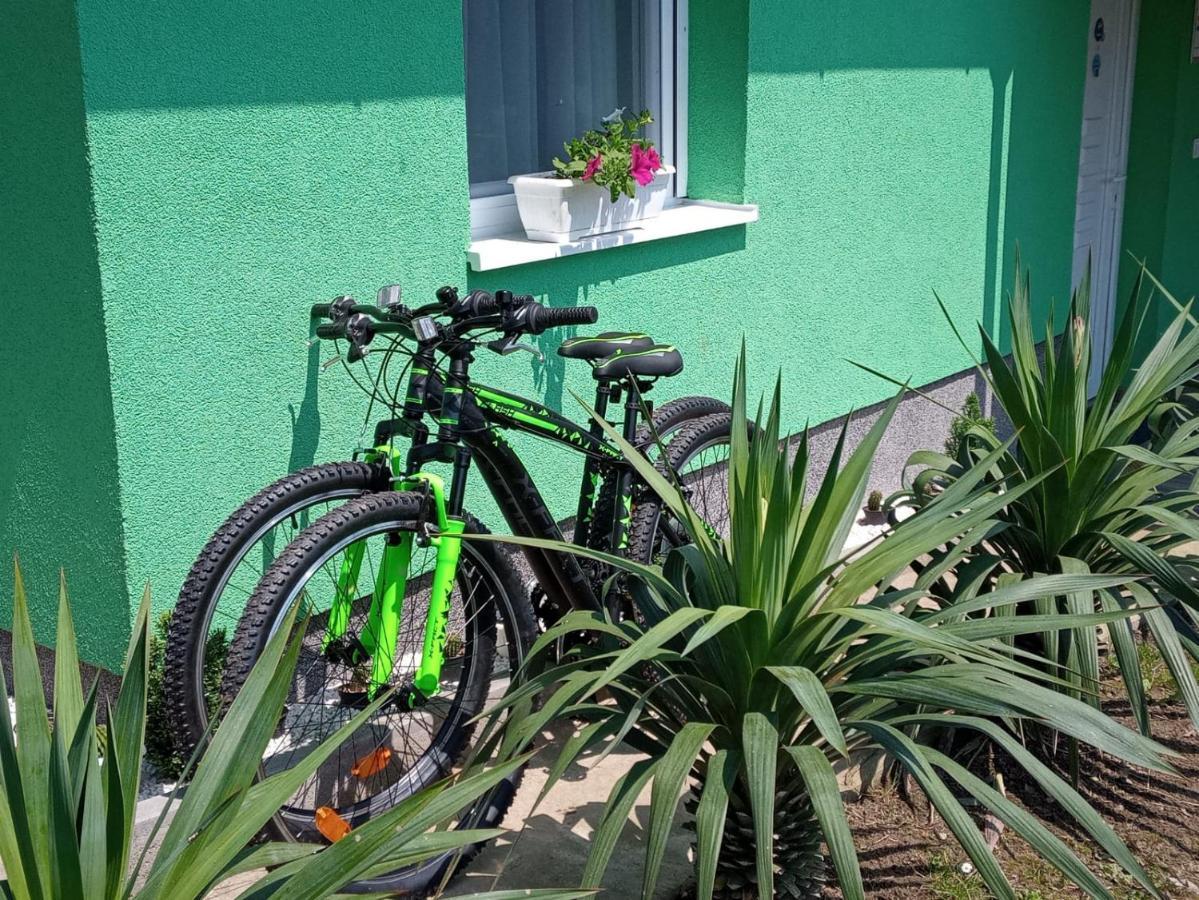 Villa Ruralna Kuca Za Odmor Viktorija Caglin Esterno foto